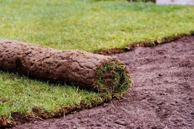 turfing services