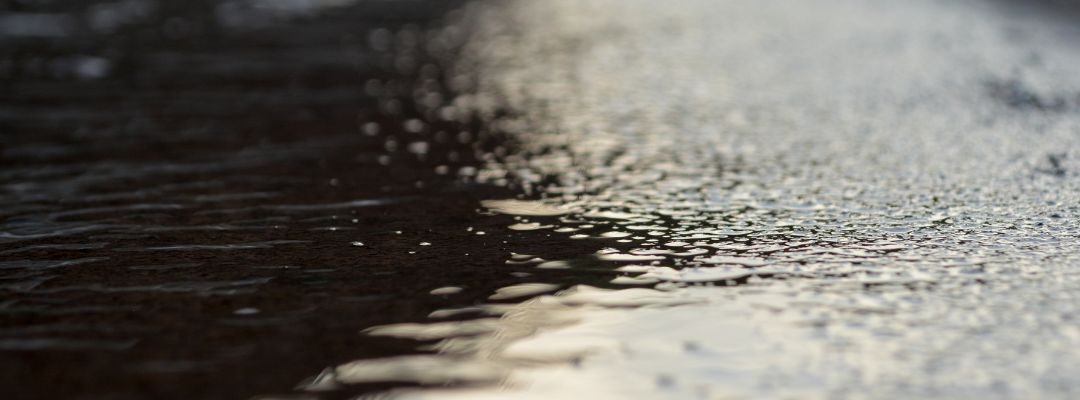 How to Remove and Prevent Moss and Mould on Concrete