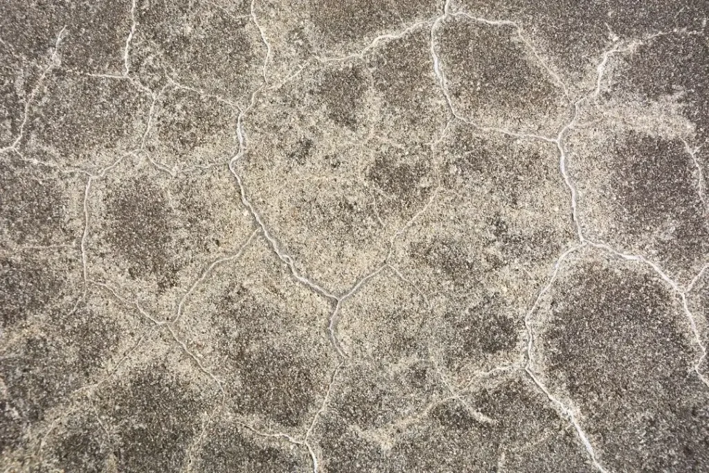 efflorescence on concrete