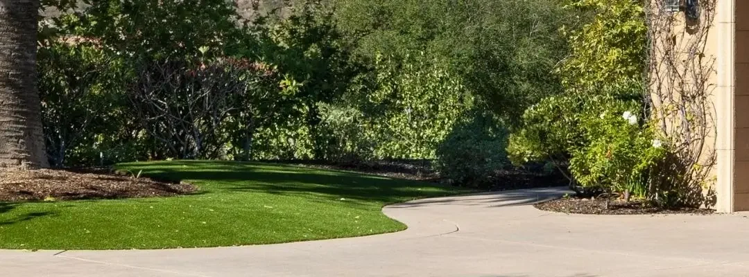 How to Prevent Tree Root Damage to Concrete Driveways and Paths in Geelong